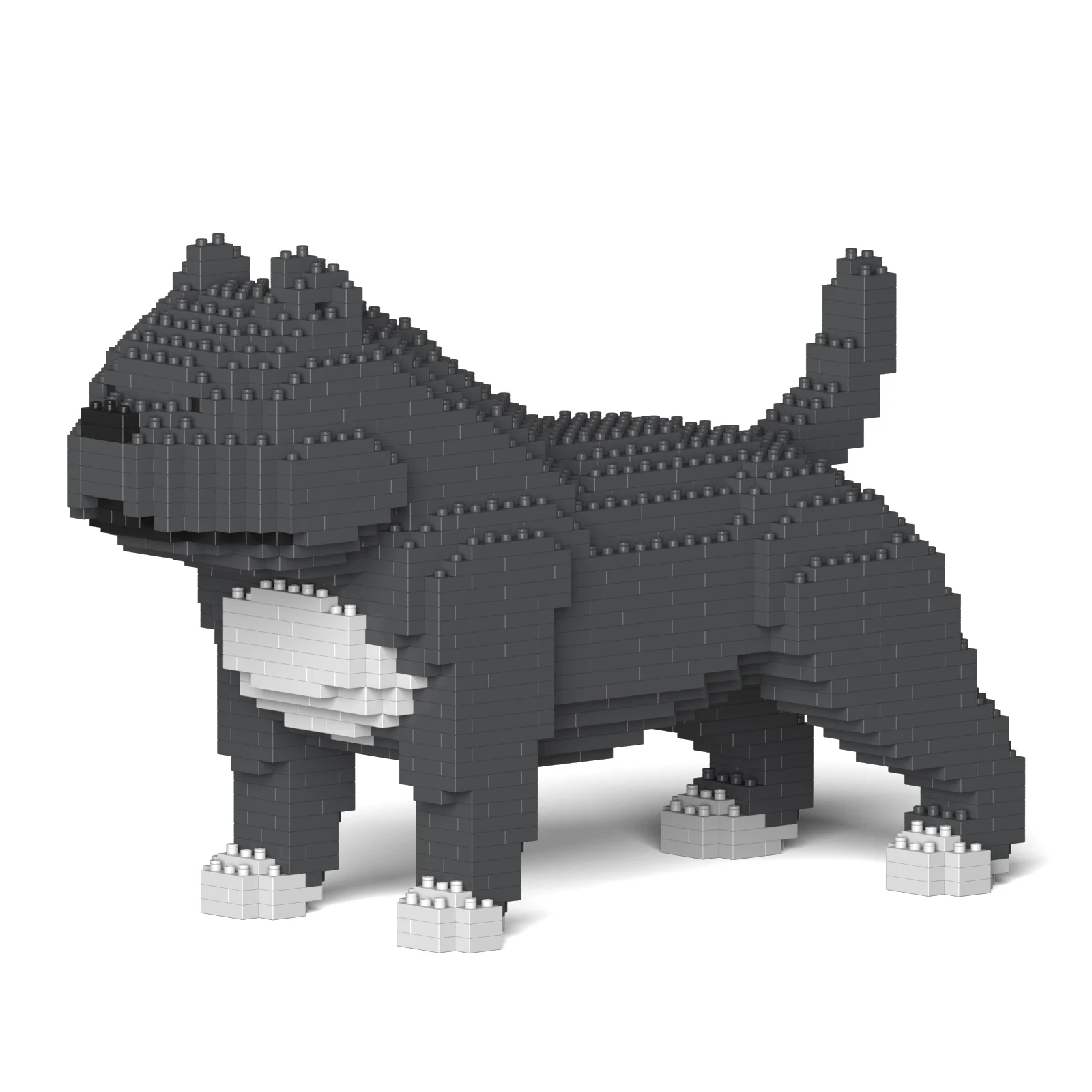 american bully jacket