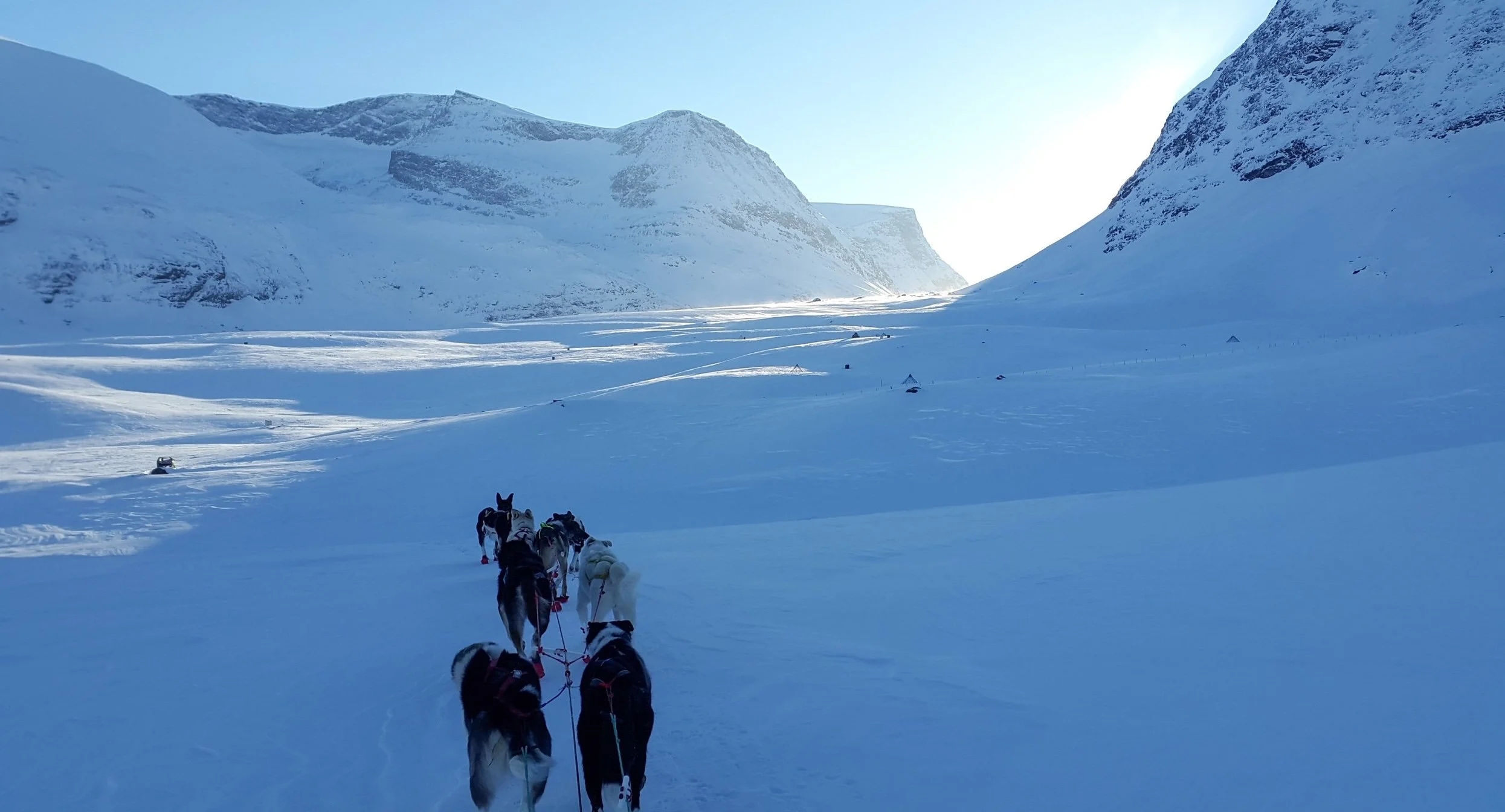 Winter: Bookings available