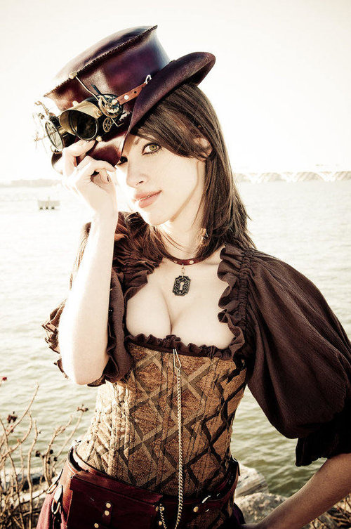 Brown Velvet Medieval Corset / Waistcoat Pirate Buccanteer Fancy Dress  Costume