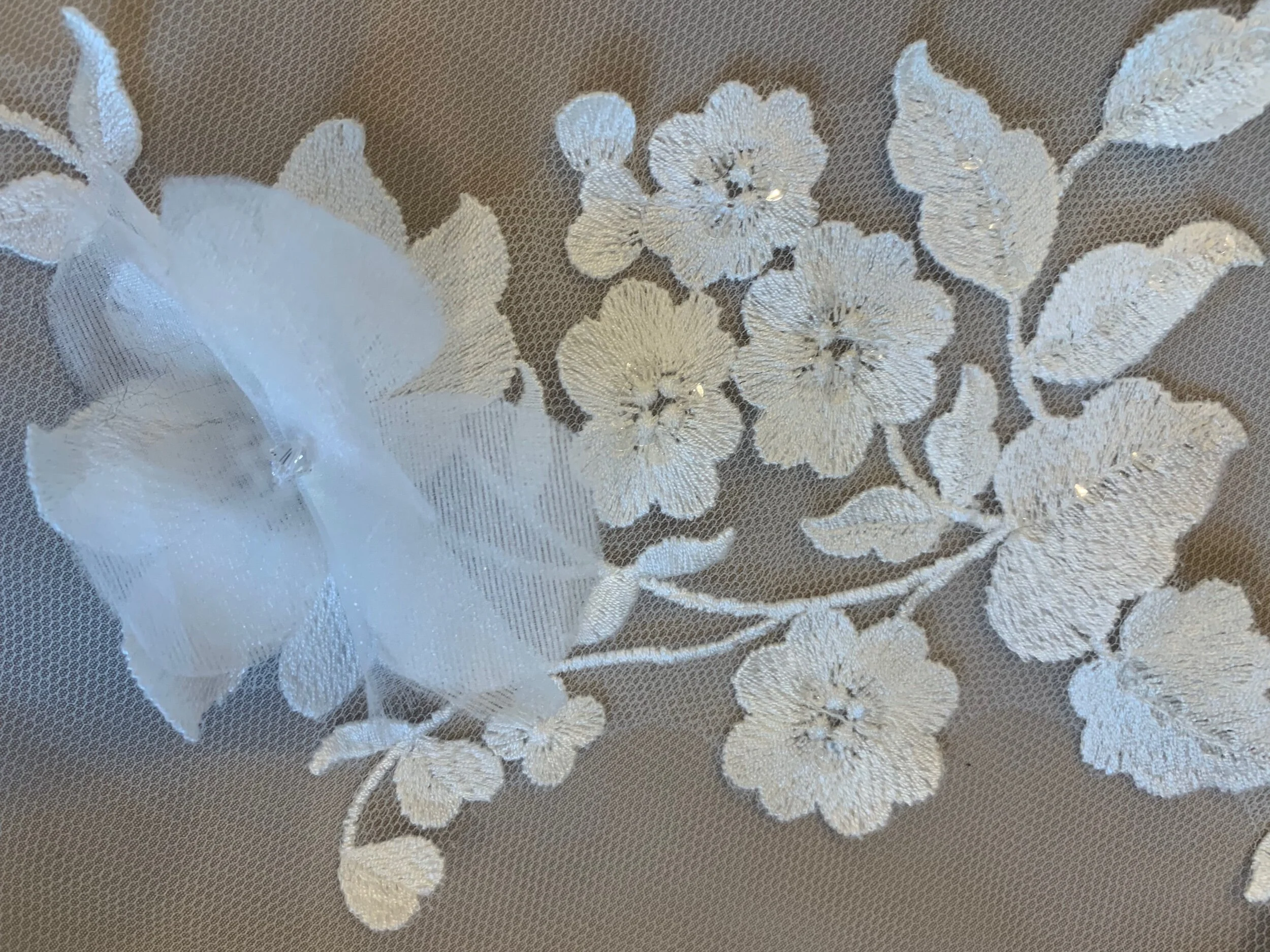 1D1E566F-52DF-4B27-9B5D-AC18A4B6A04C