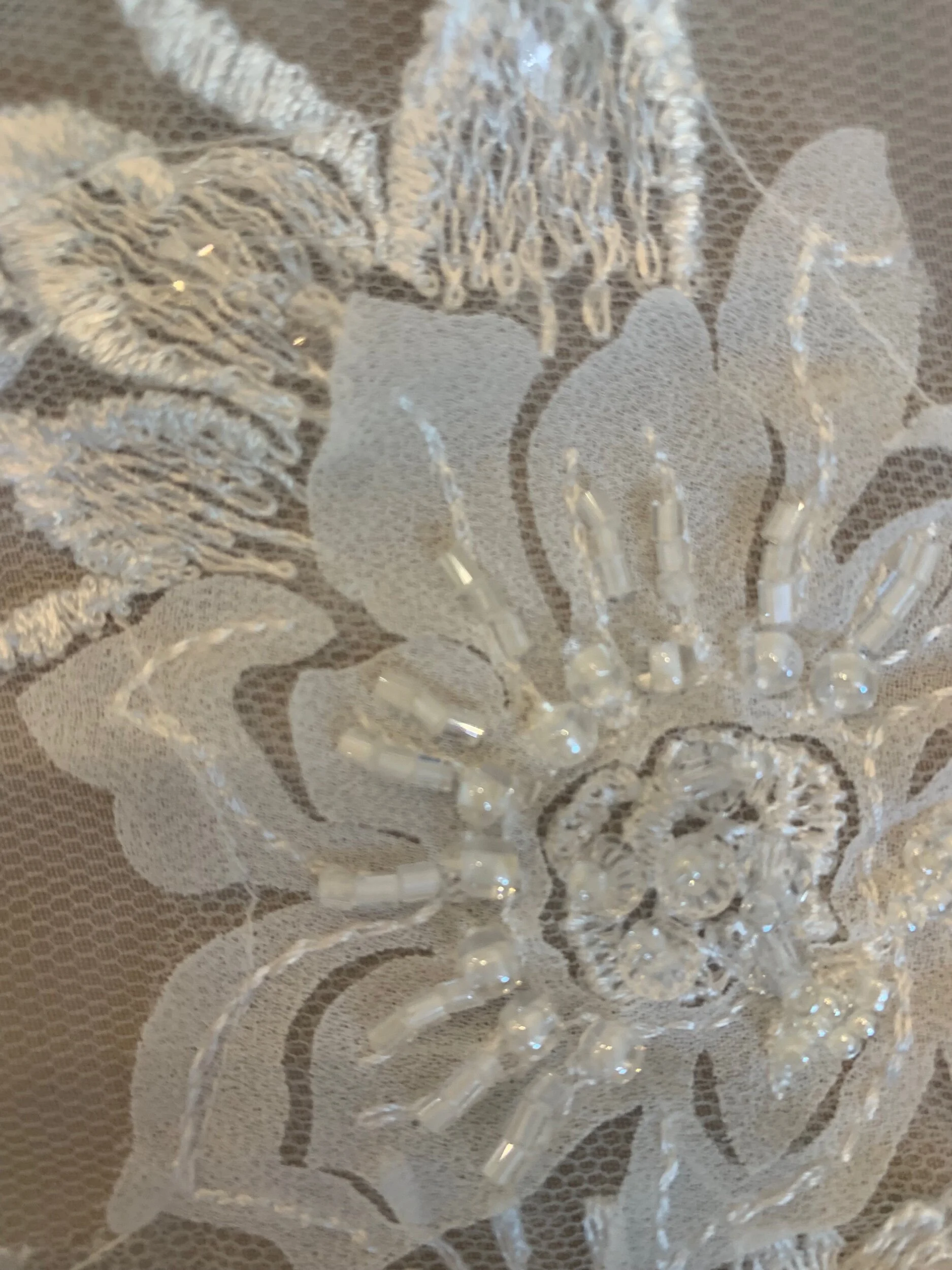 F85350E2-1D68-4D75-BED4-D765196E8E4C