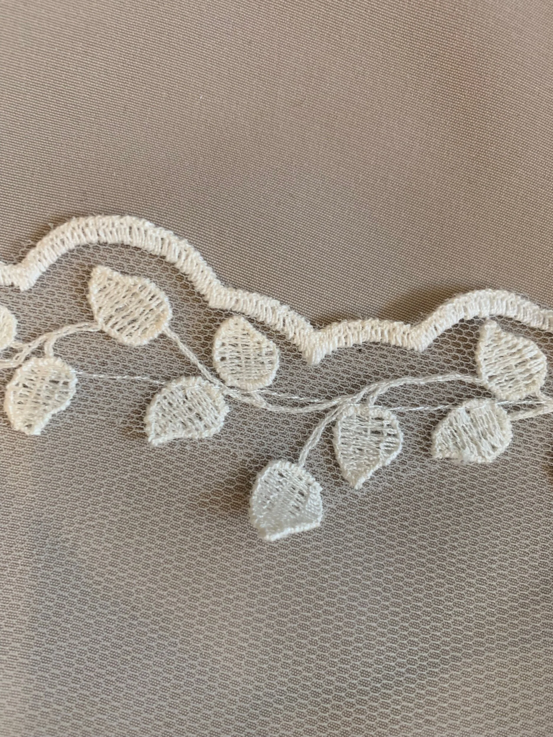 CC1E401D-AF8F-4FD2-822E-9B8B984C7C1C