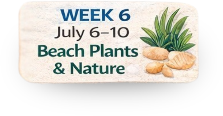 Camp Hope Week 6 will be held from July 6-10 our theme for the week will be Beach Plants & Nature