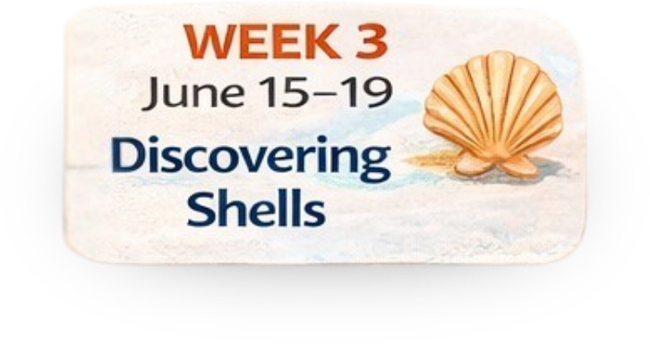 Camp Hope Week 3 will be held from June 15-19 our theme for the week will be Discovering Shells