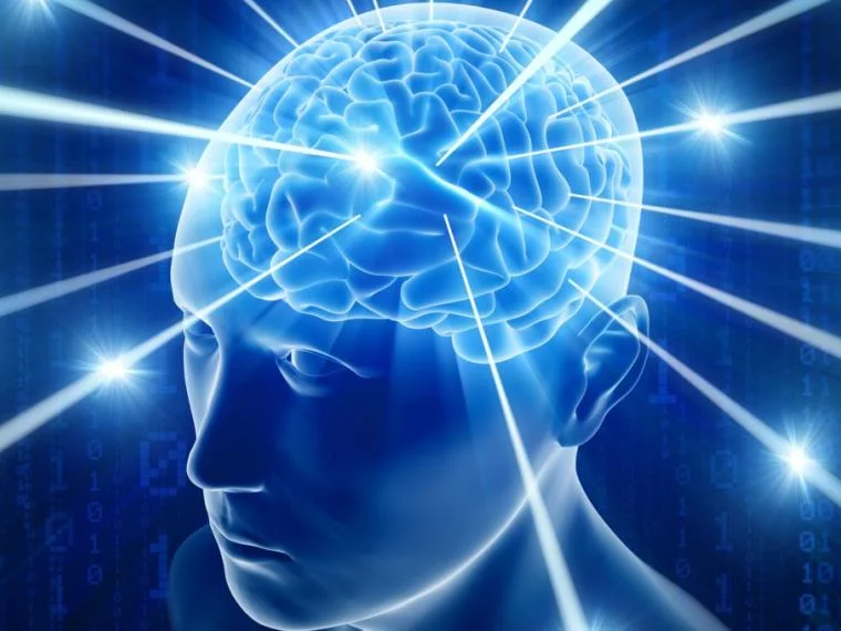 Mitos sobre el cerebro humano