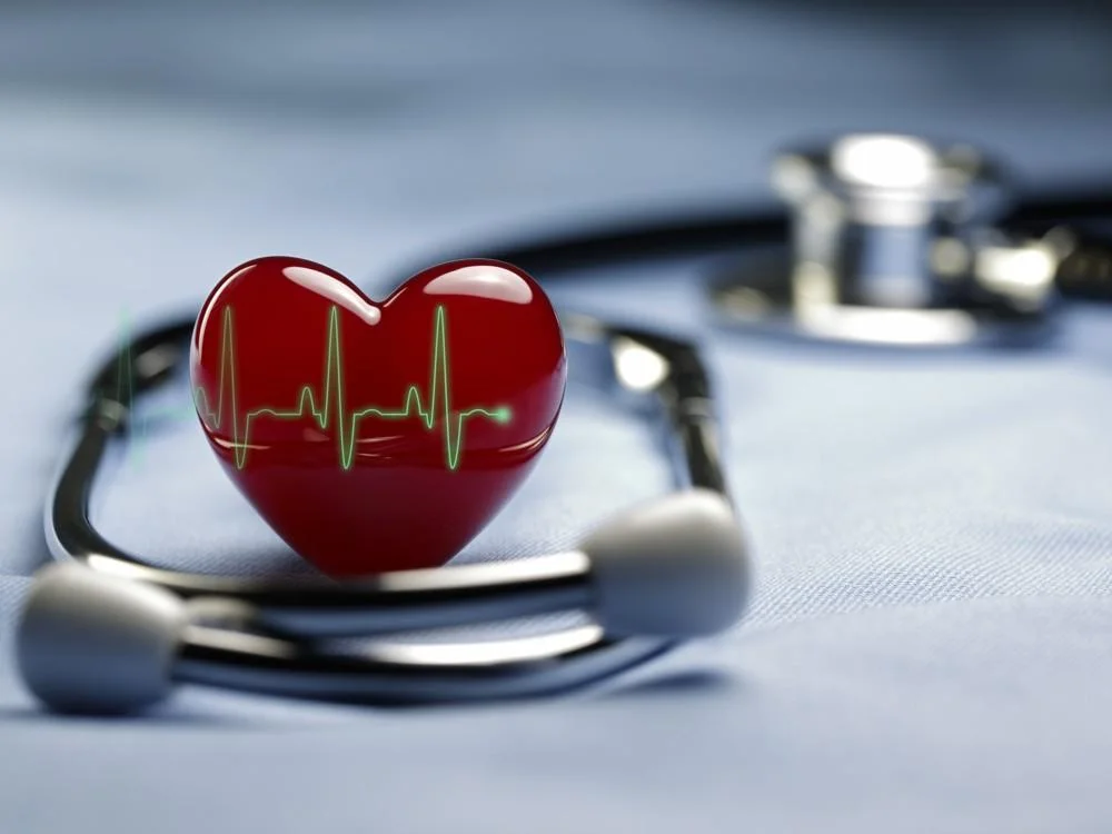 ¿Cuánta sangre va al cerebro?