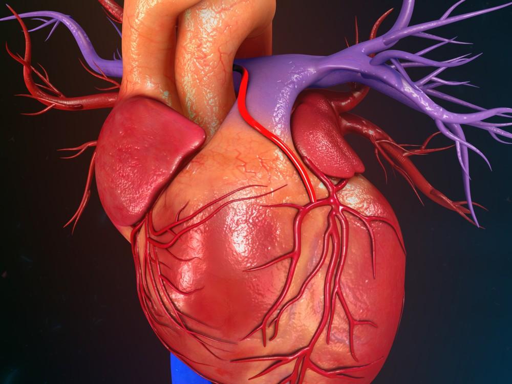 Beneficios de la risa para el corazón