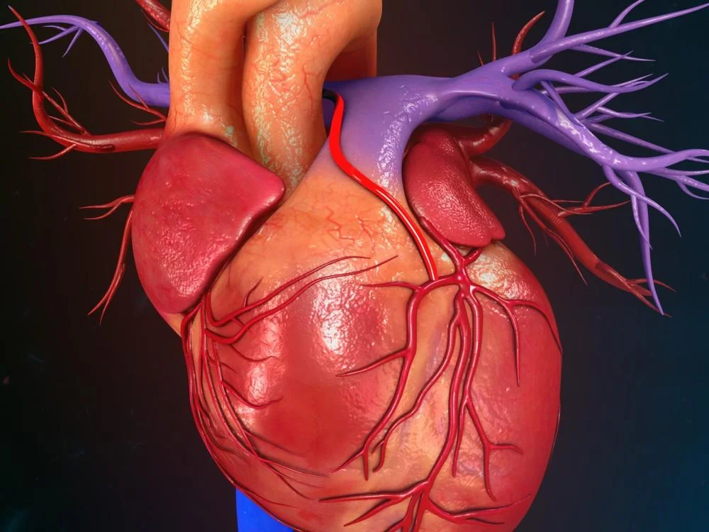 Beneficios de la risa para el corazón