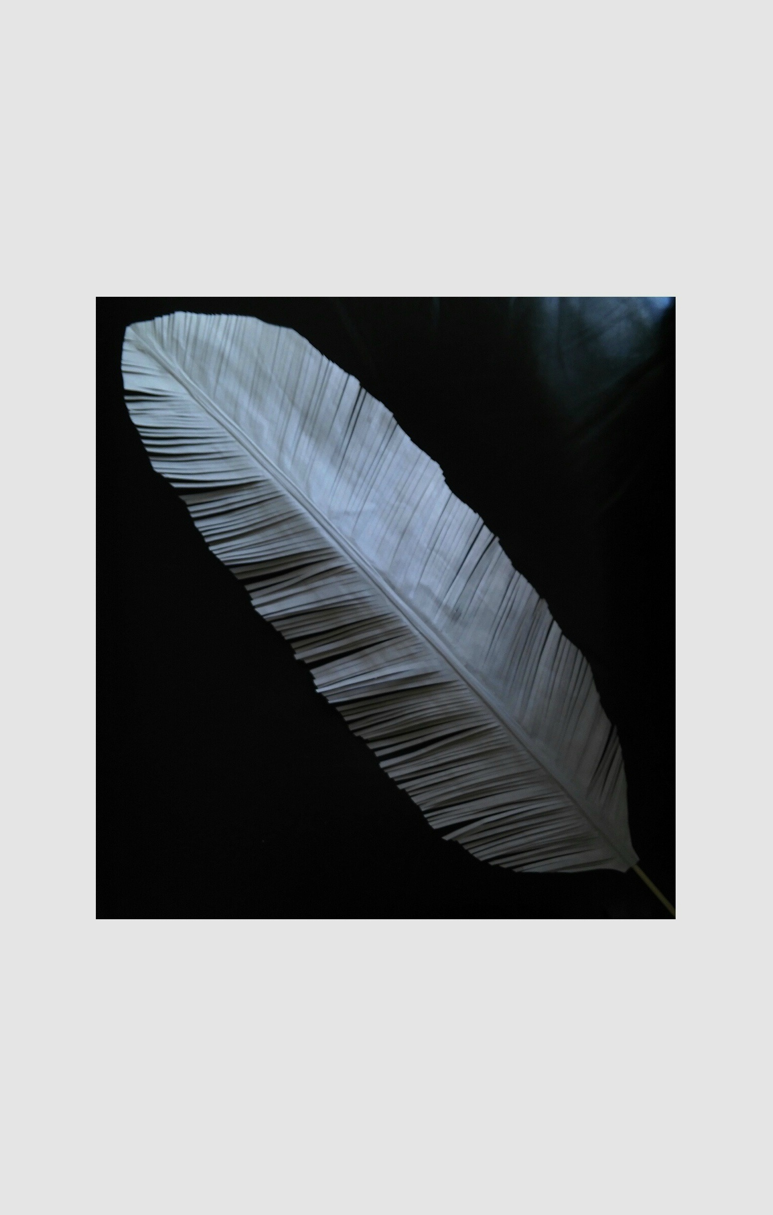 diy-newsprint-feather.jpg