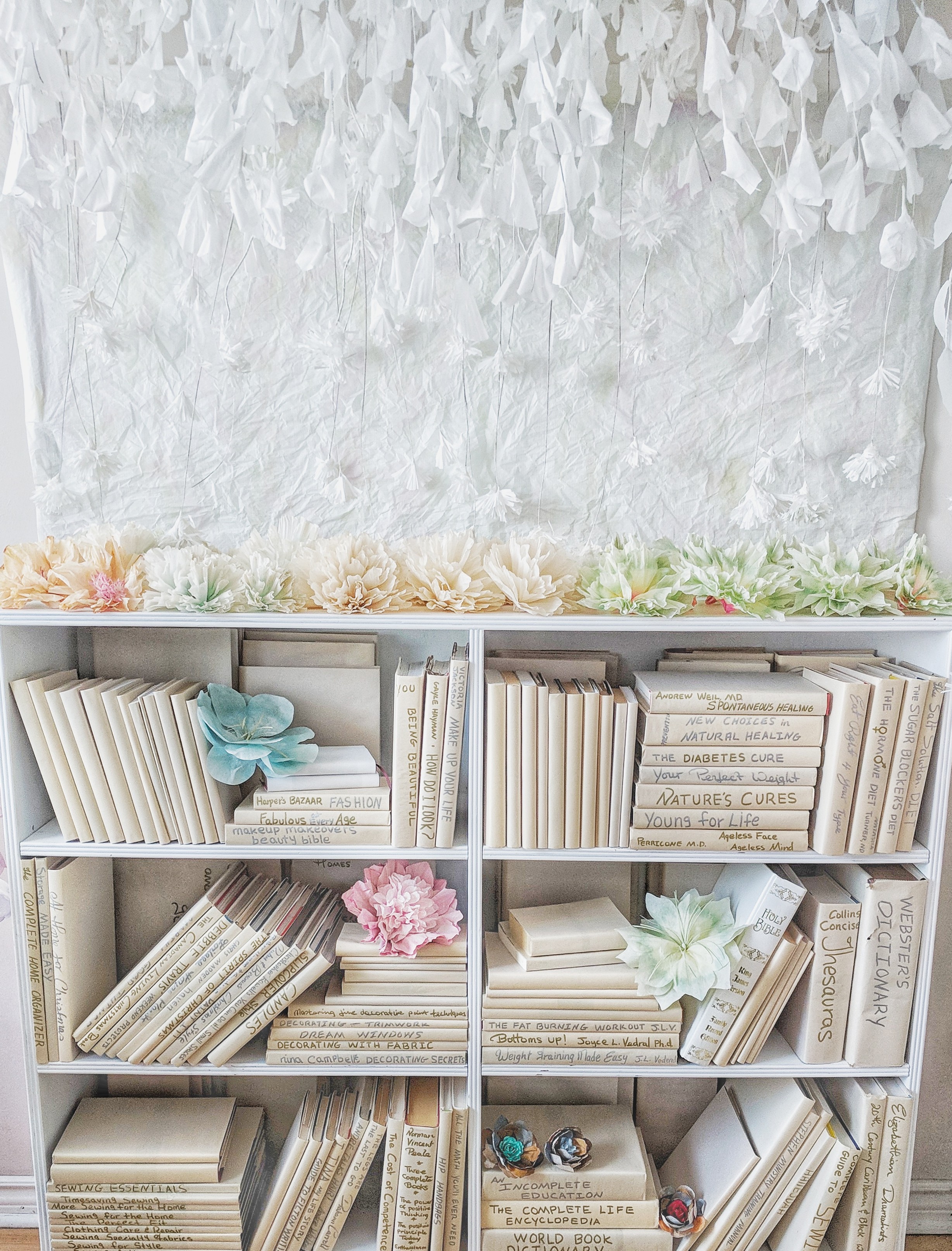 bookcase-book-covers-paper-backdrop.jpeg