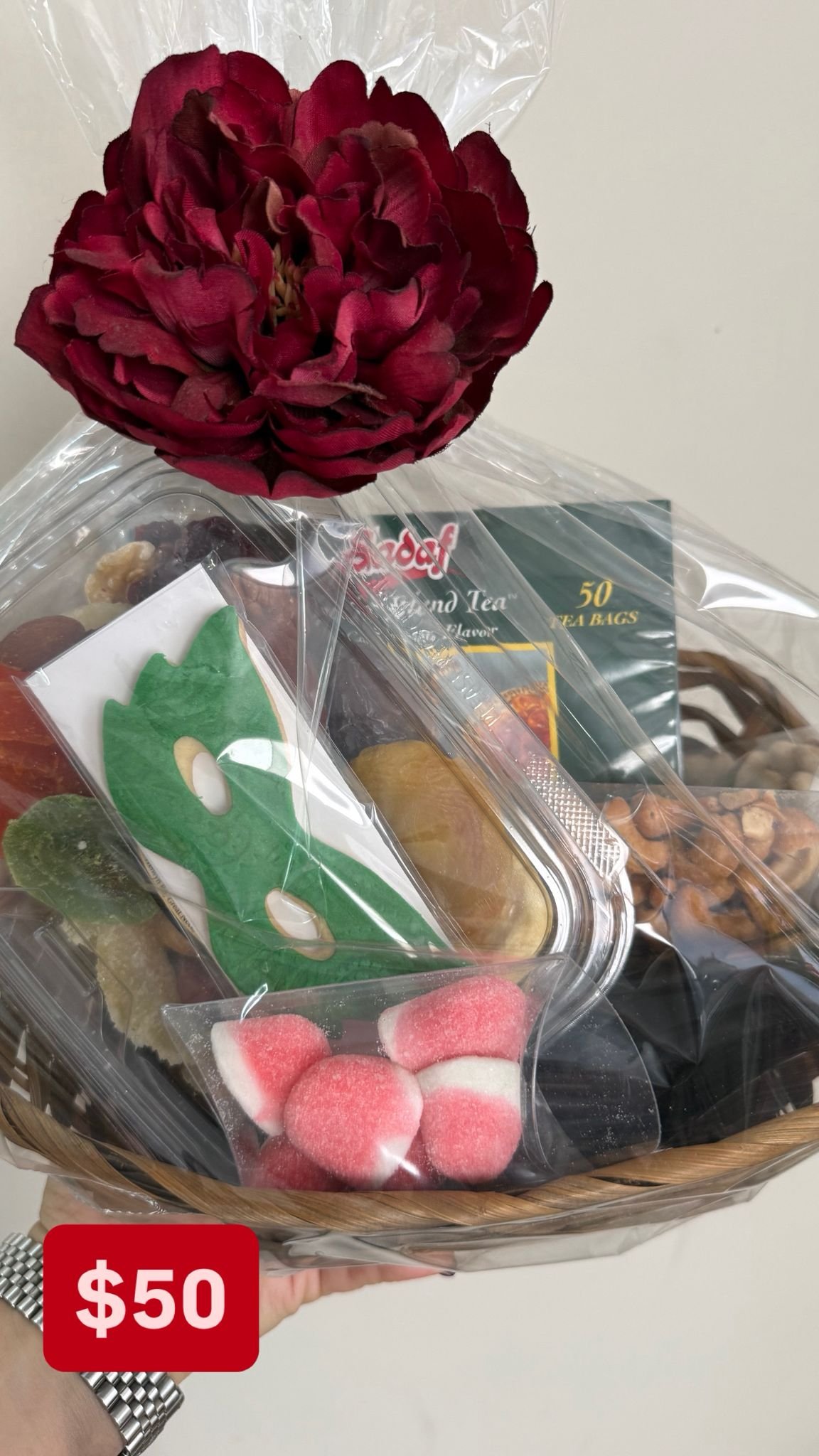 WhatsApp Image 2026-03-07 at 9.12.58 PM (3).jpeg