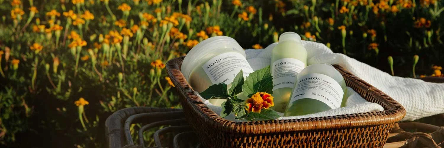 Goodbye Winter, Hello Spring!