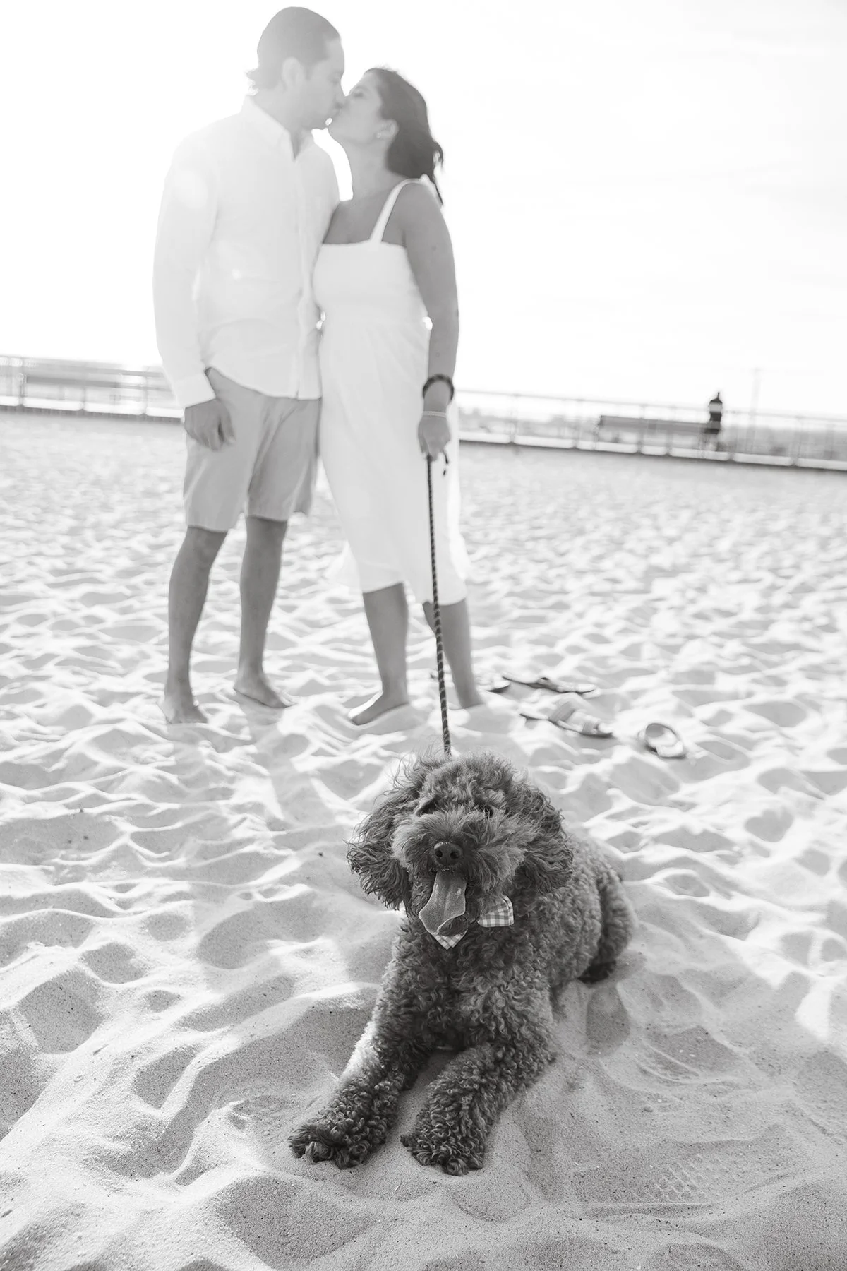 MSR-0002-2 copySM.jpg