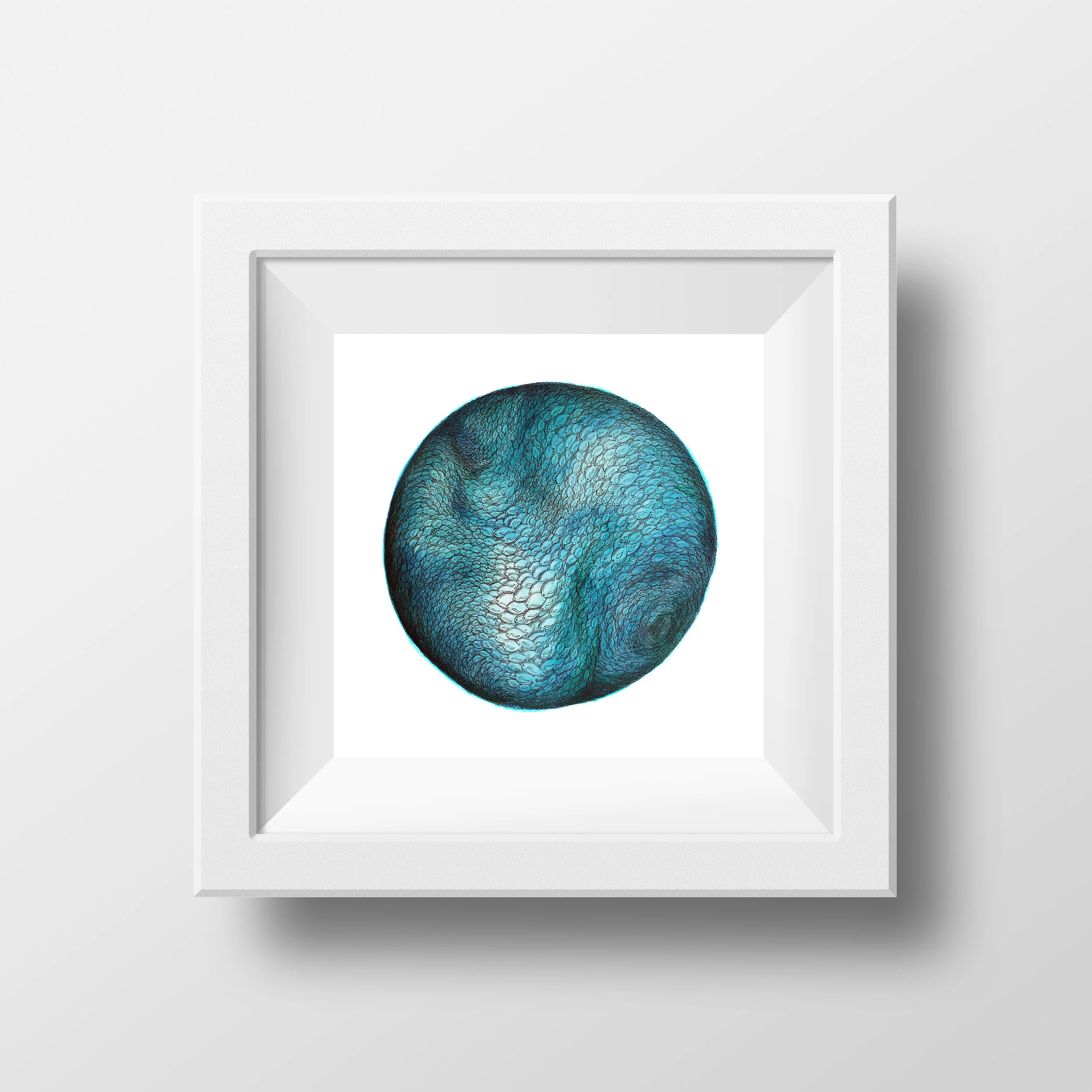 Lateral Line III Mini