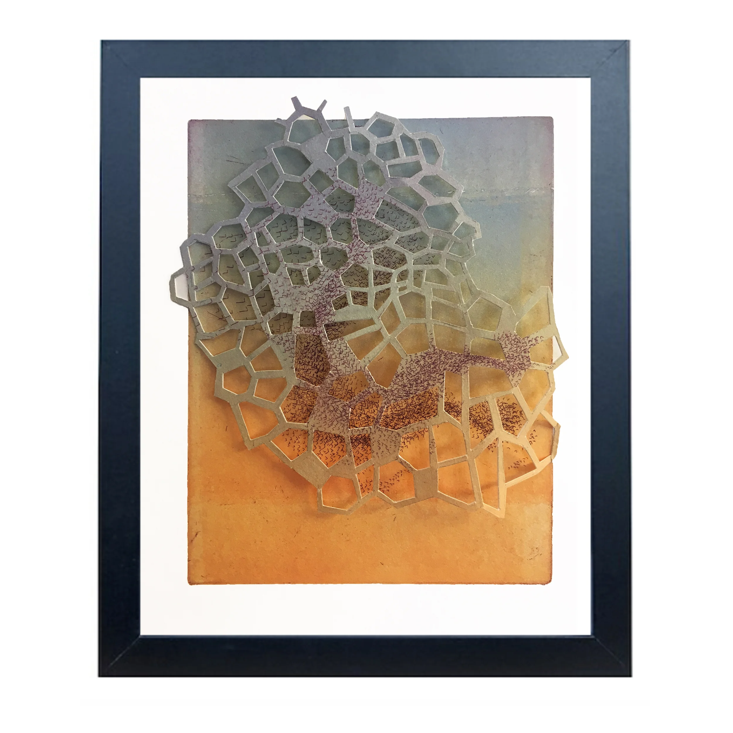 Lanconusus - net like 