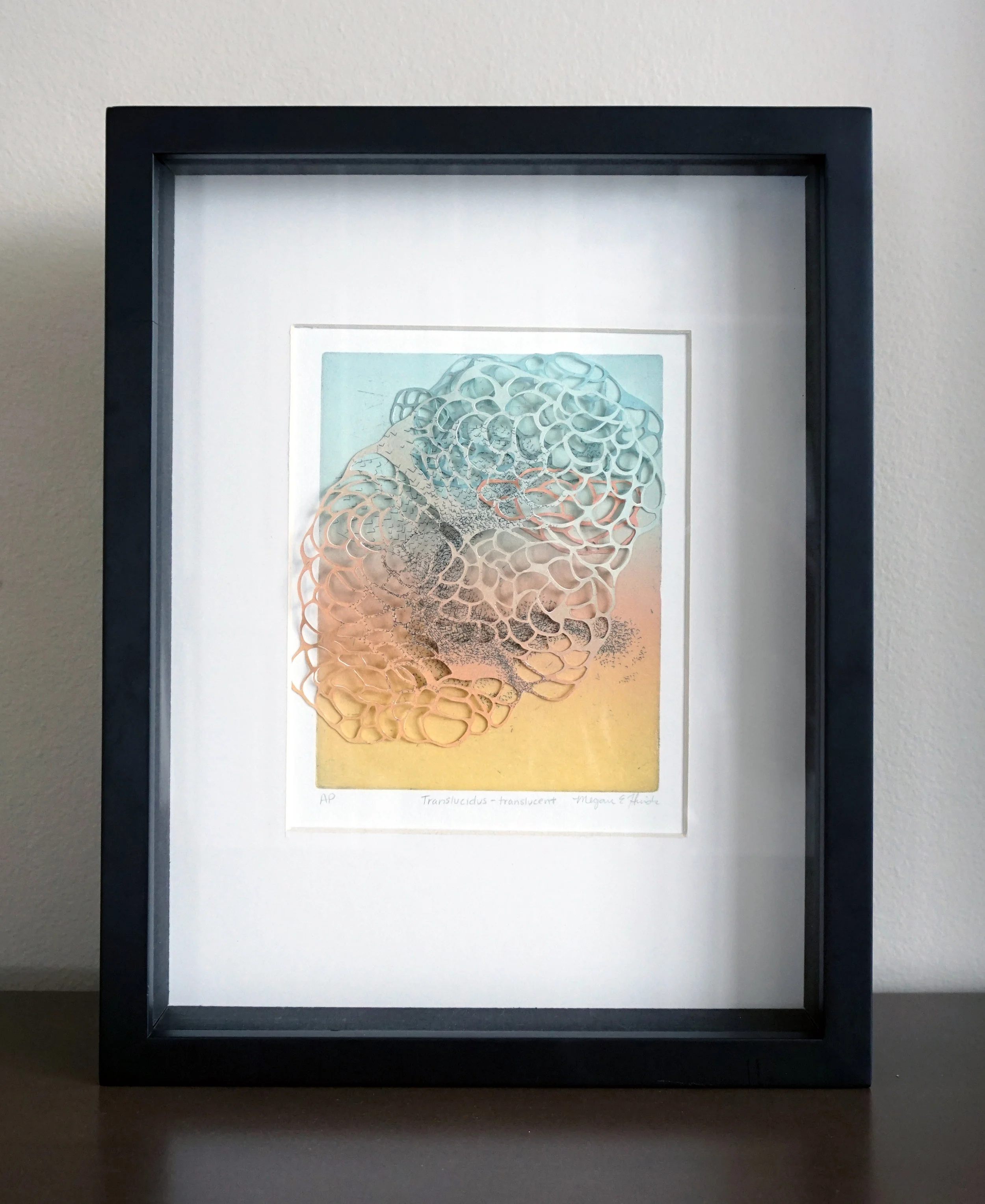 Translucidus- Translucent SOLD