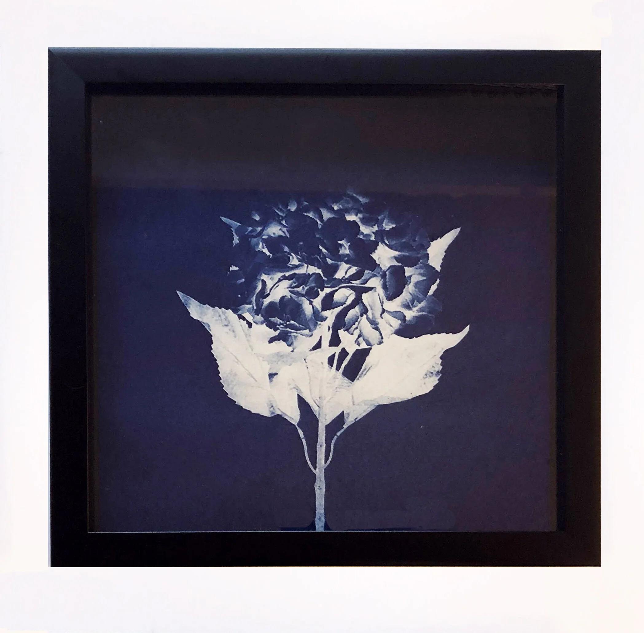 flowerframed.jpg