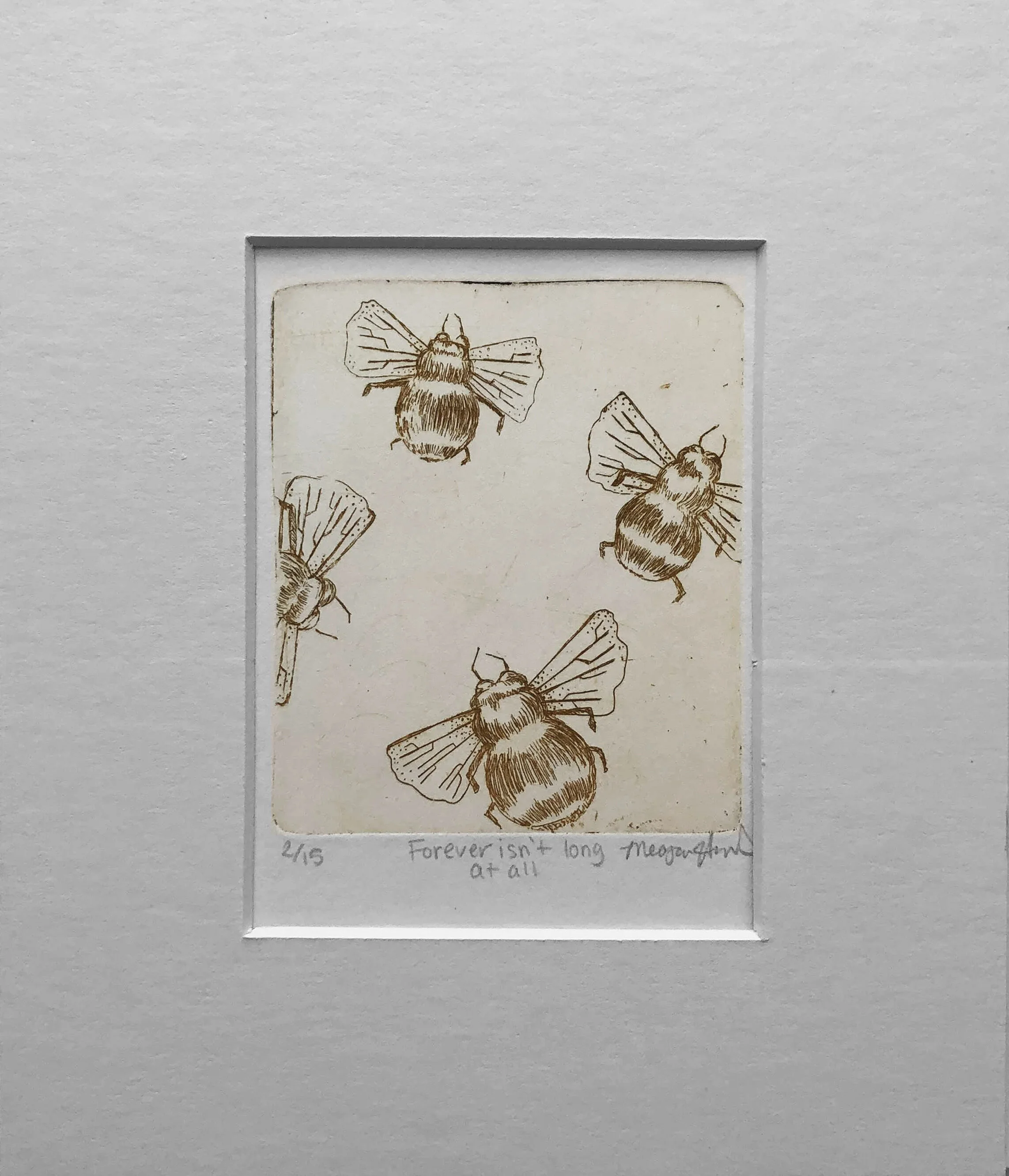 Forever Isn't Long at All