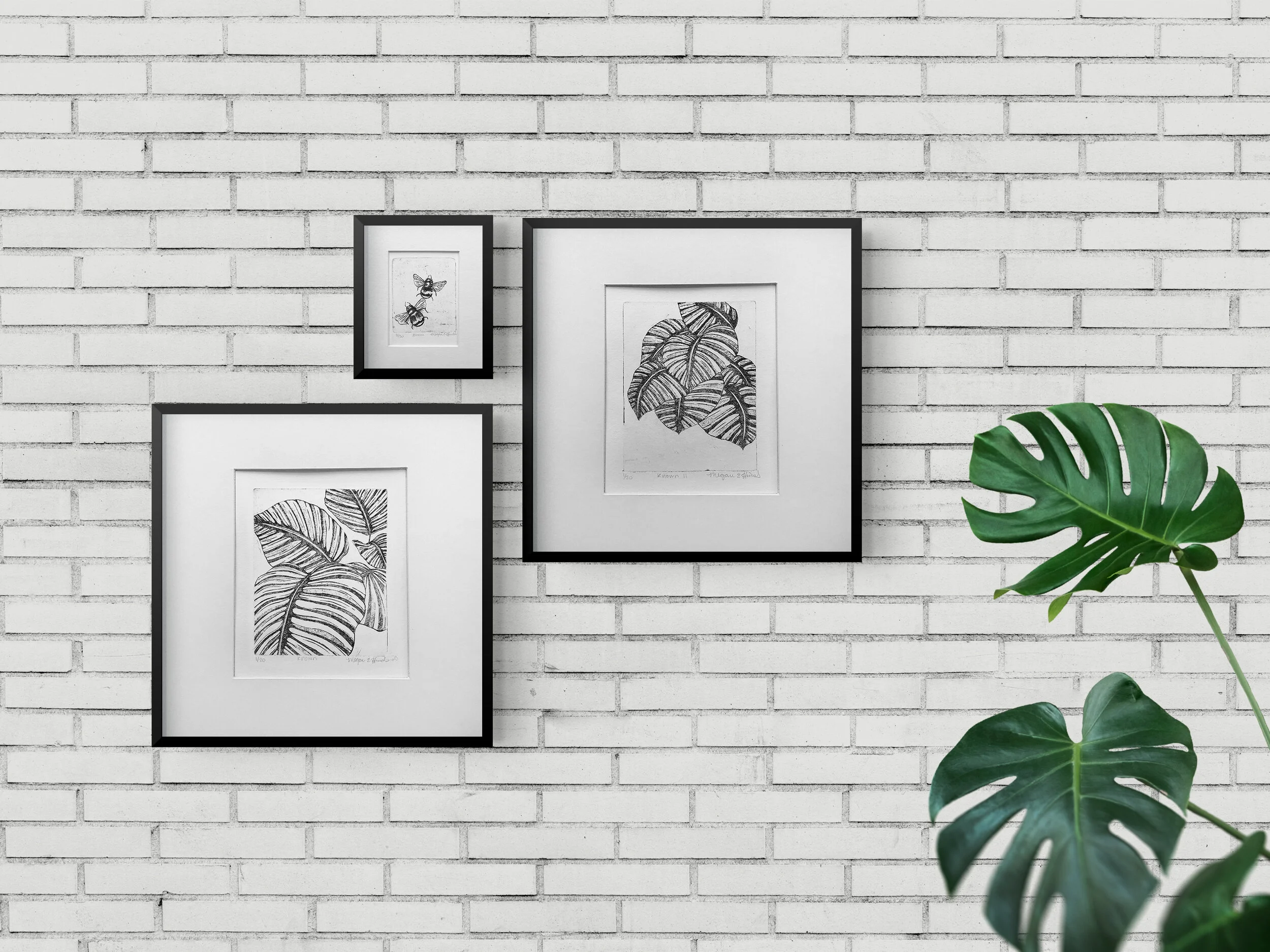 Black and White Bundle Set 