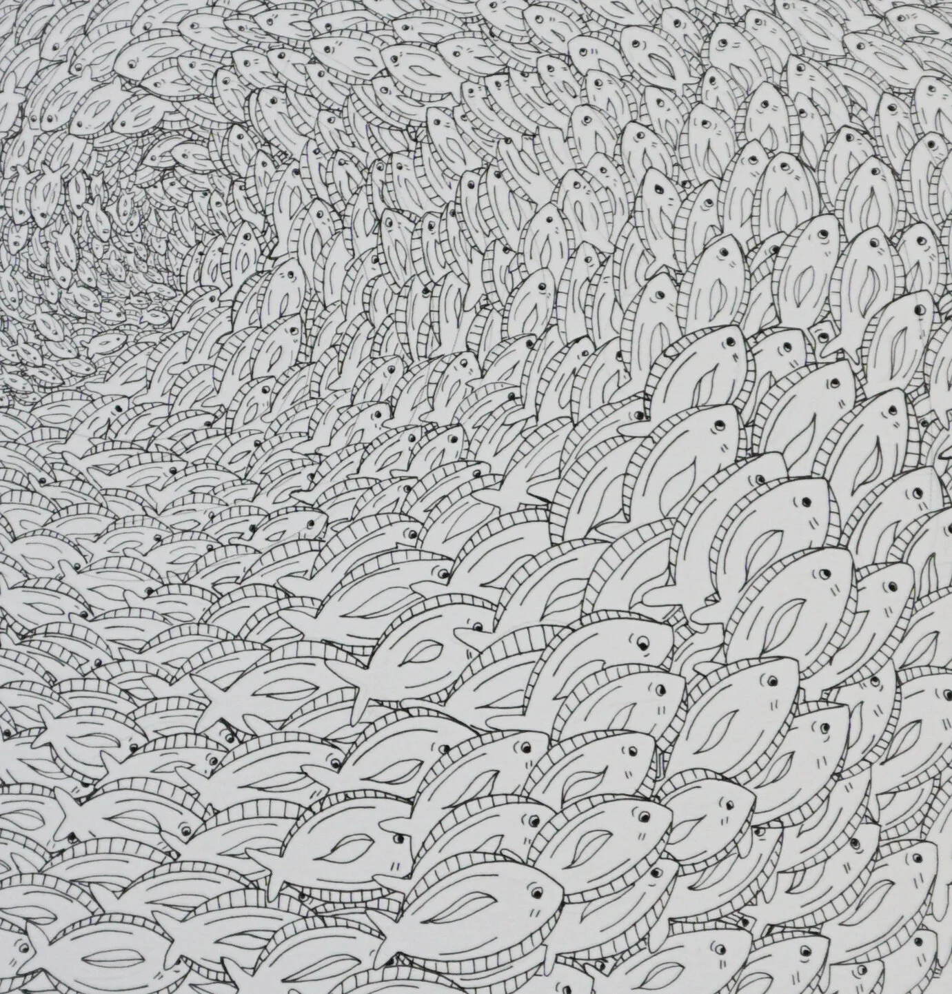 fullfish1cropped.jpg