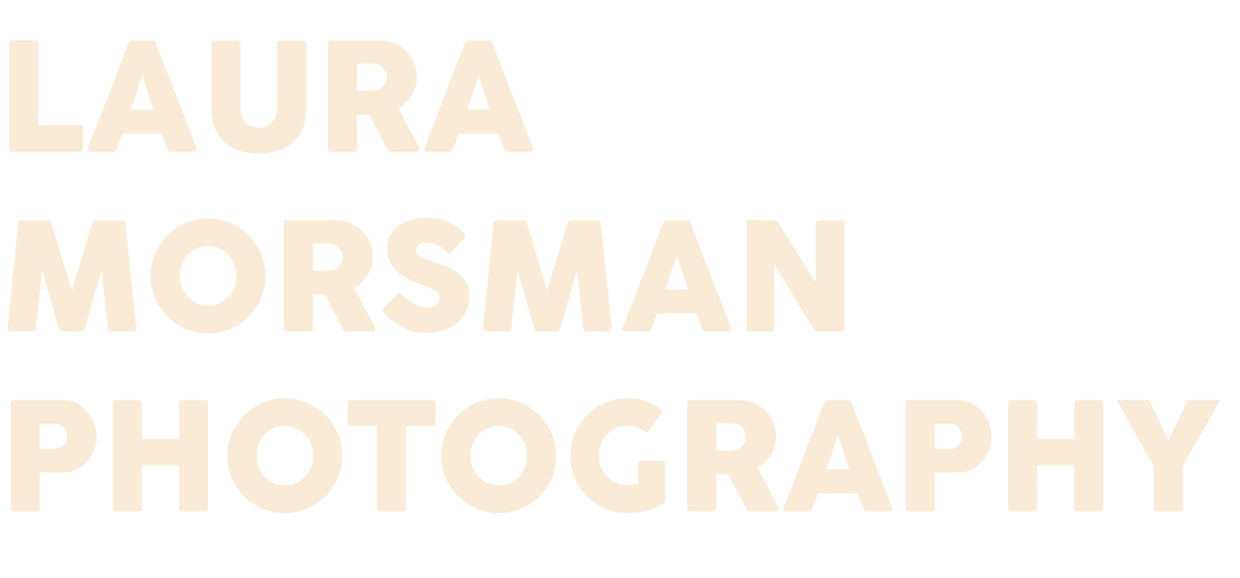 Laura Morsman Photography