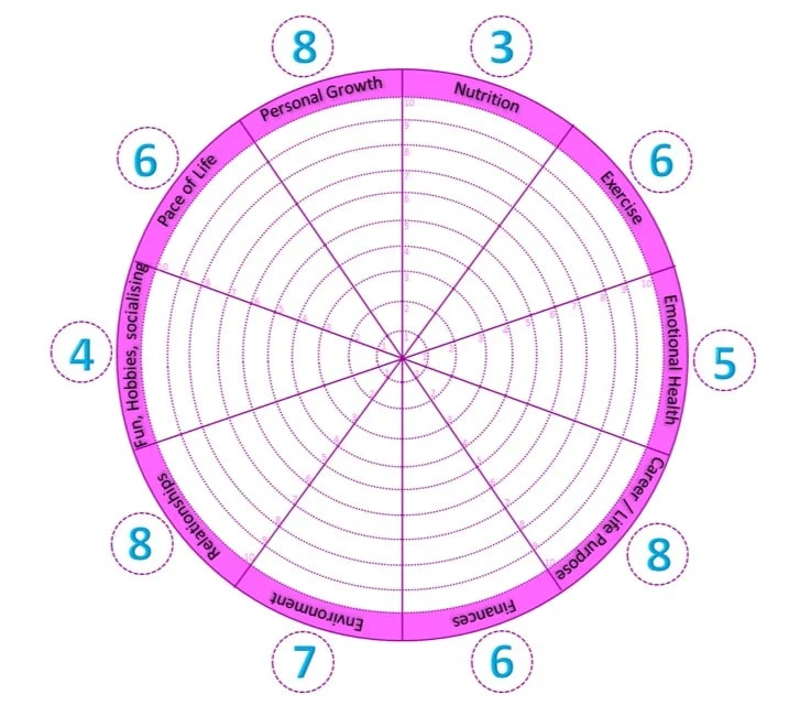 A wheel of life which allows you to rate the different parts of your life - with example ratings