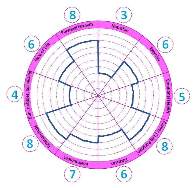 A wheel of life which allows you to rate the different parts of your life - with example ratings and joined up