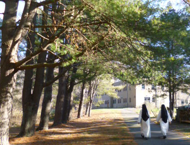 Nuns walking from home page slider.png