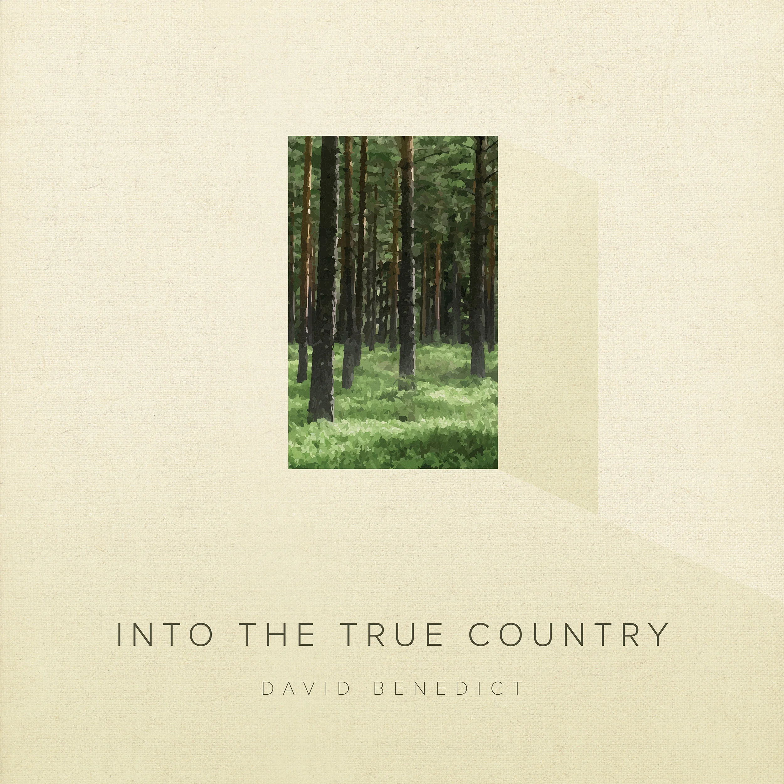 Into the True Country Physical CD (2014)