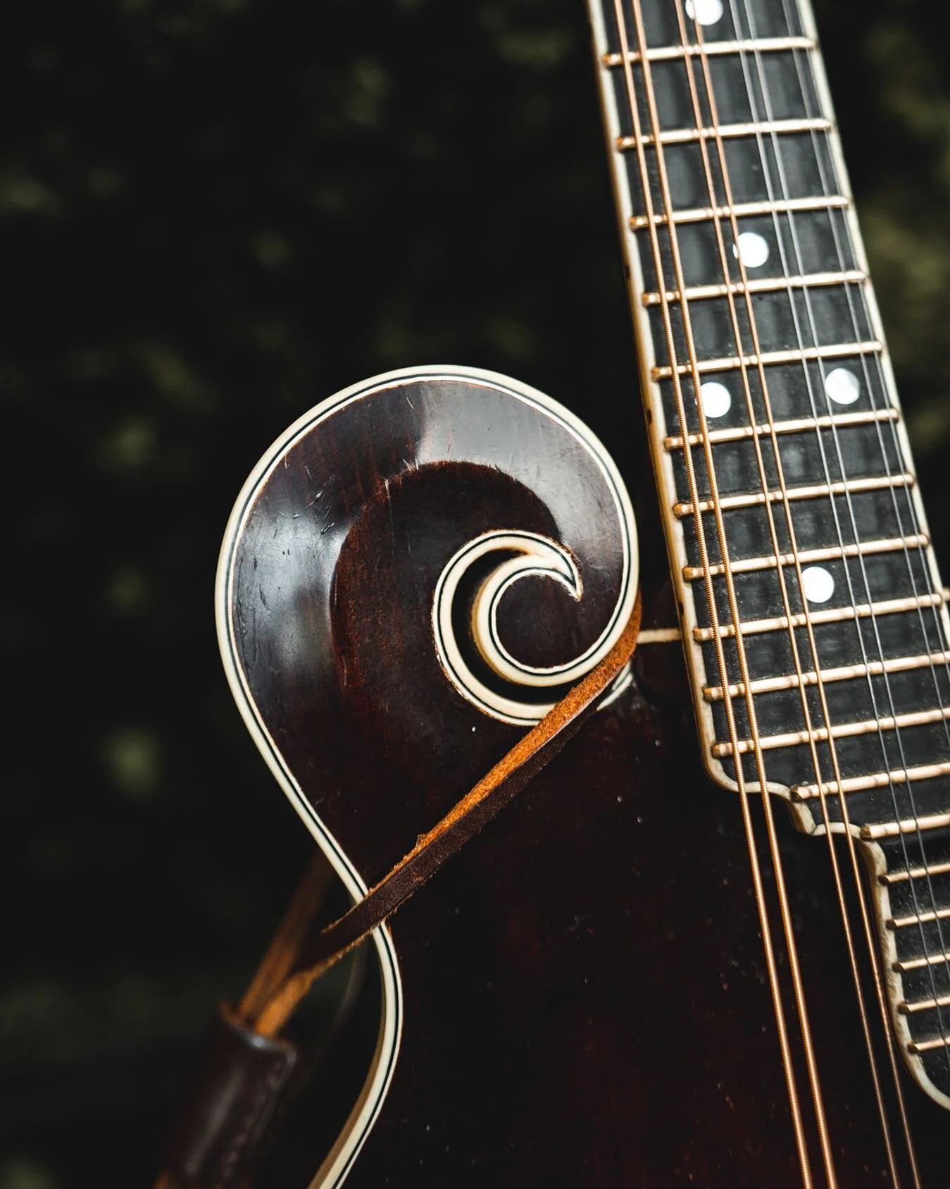 Alright&hellip; time to stop scrolling and play some mandolin&hellip; 🤦&zwj;♂️

#pun #punny #notfunny #kindof #mandolin #scroll