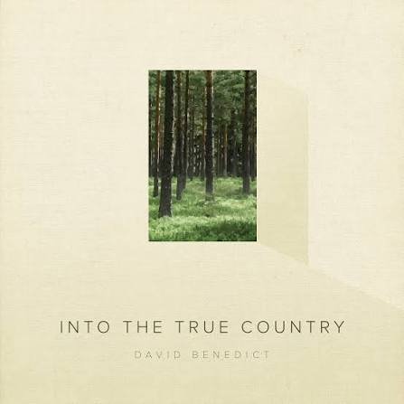 Book cover titled 'Into the True Country' by David Benedict, featuring a forest scene with tall trees and green grass.