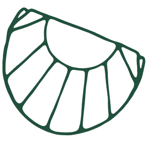 Outline drawing of a mandolin tonegard.
