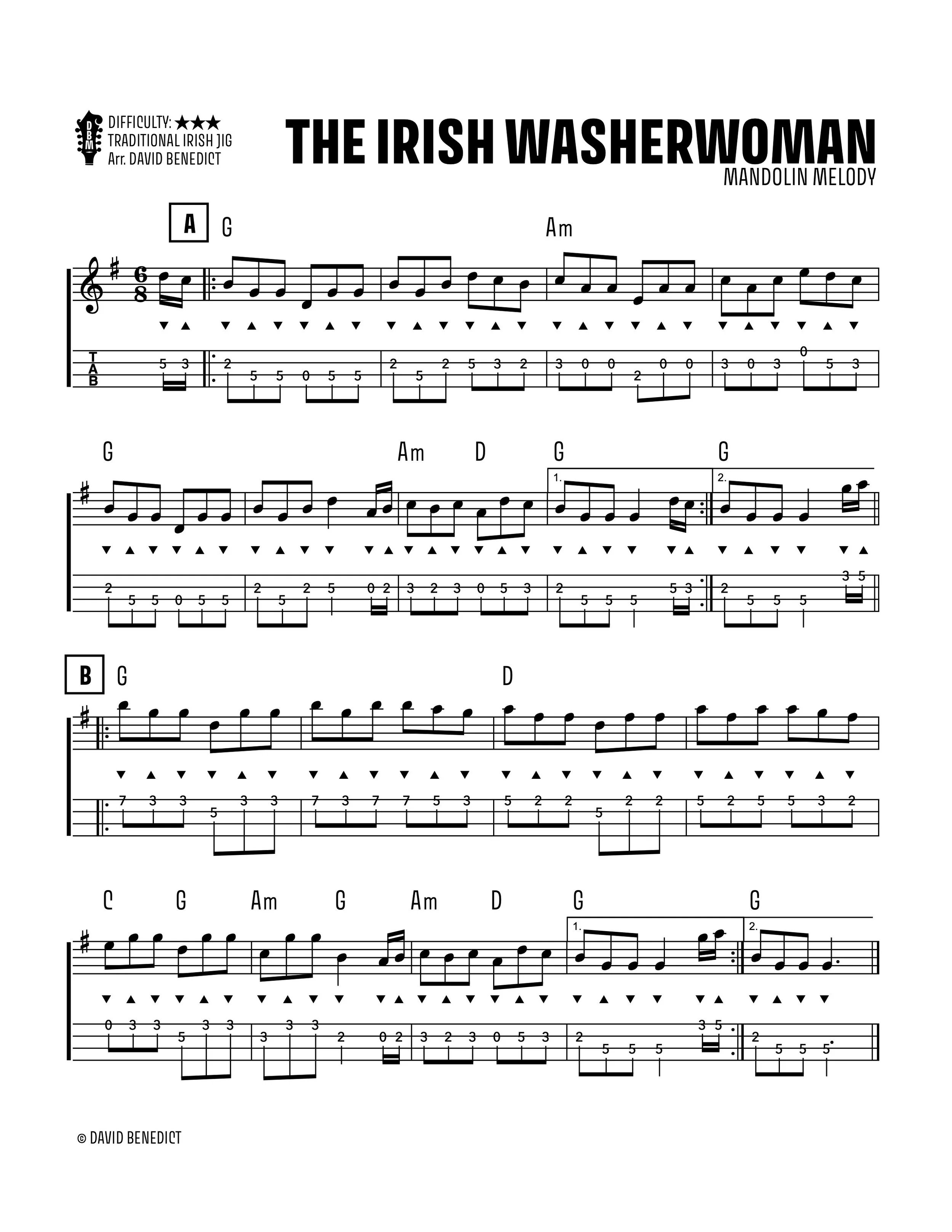 The Irish Washer Woman