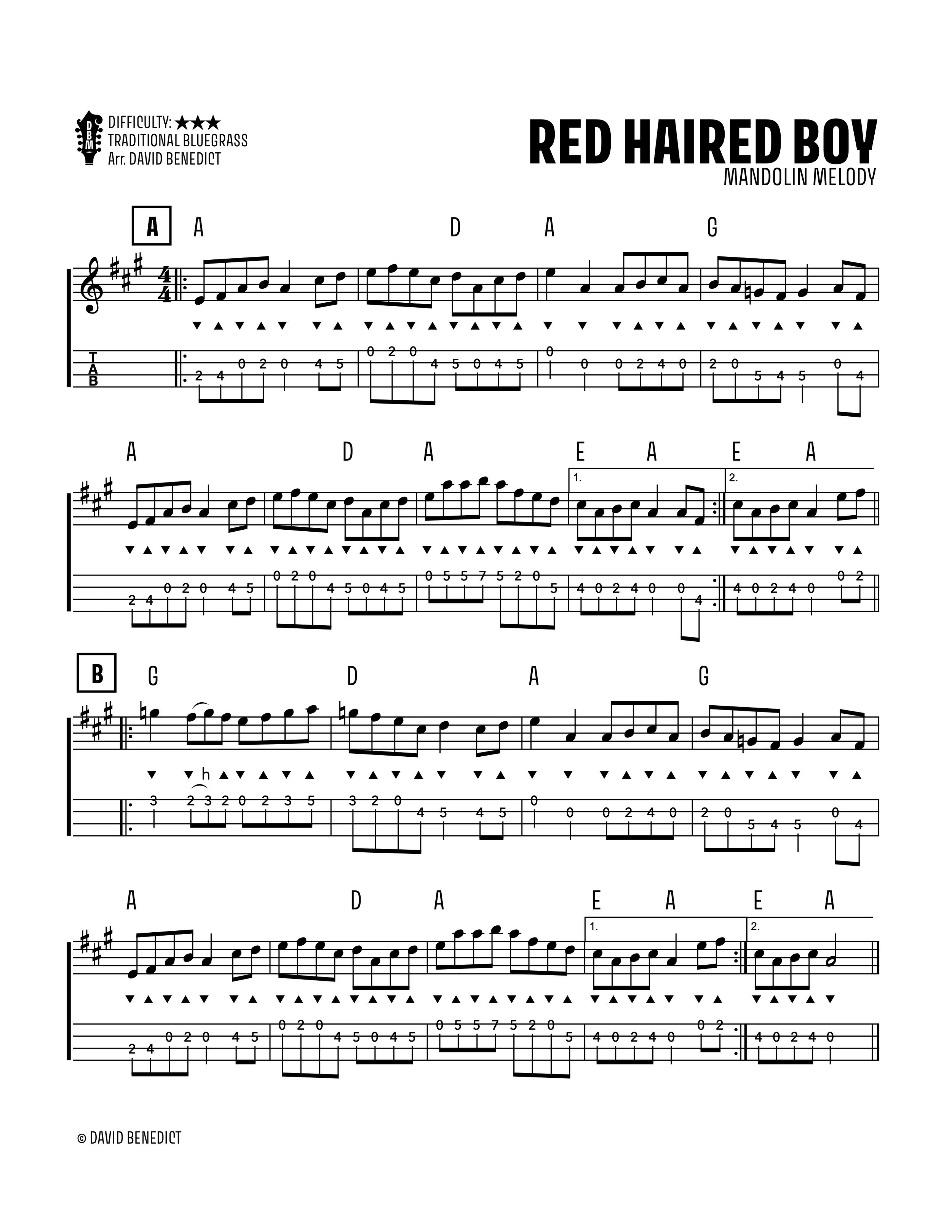 Red Haired Boy