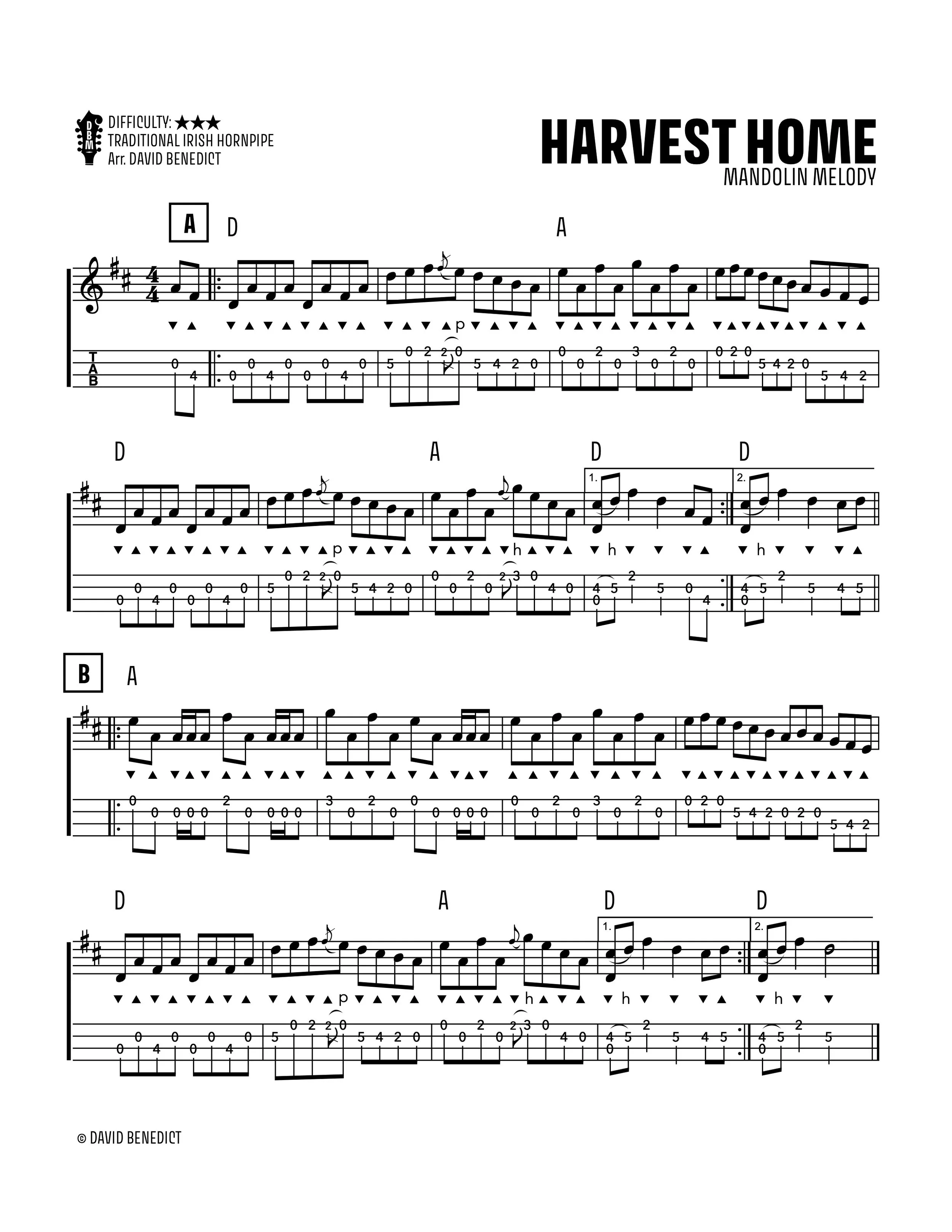 Harvest Home