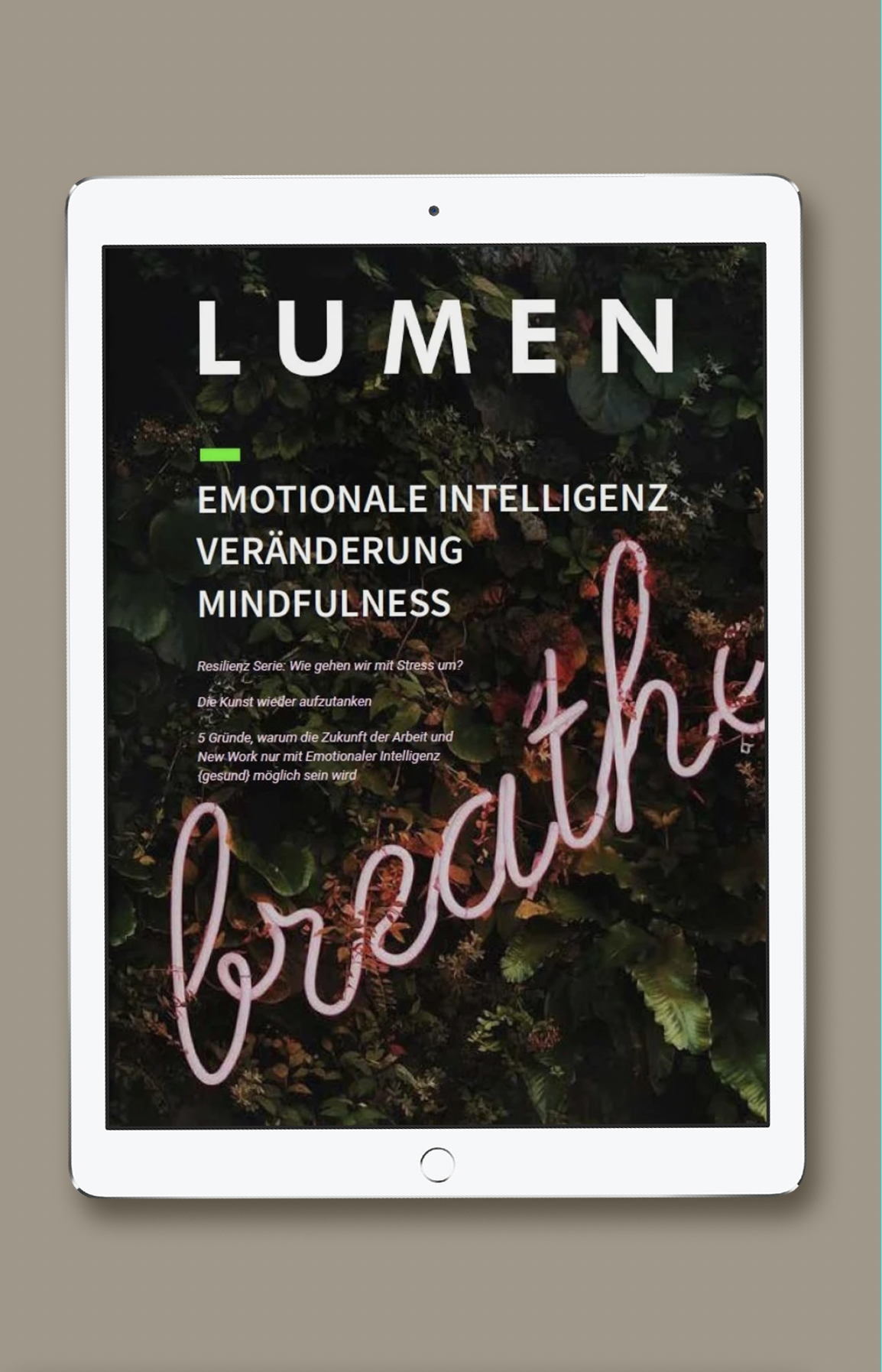 E-Book: Emotionale Intelligenz und Resilienz