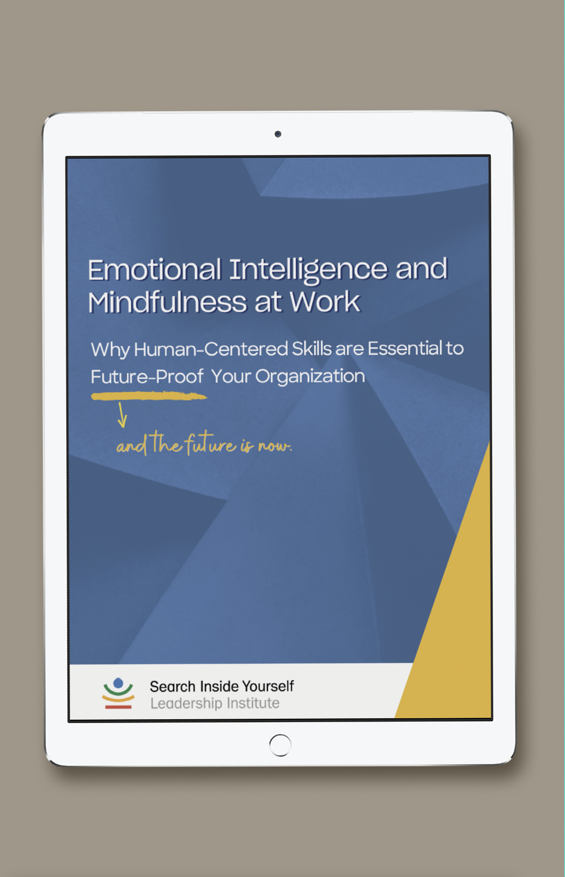 Englisches E-Book: Emotionale Intelligenz und Achtsamkeit am Arbeitsplatz