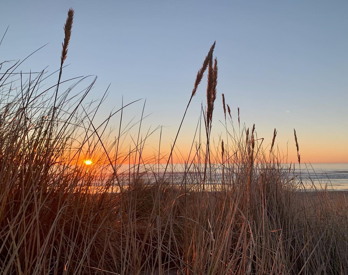 Sunsets are best at the beach 🌅