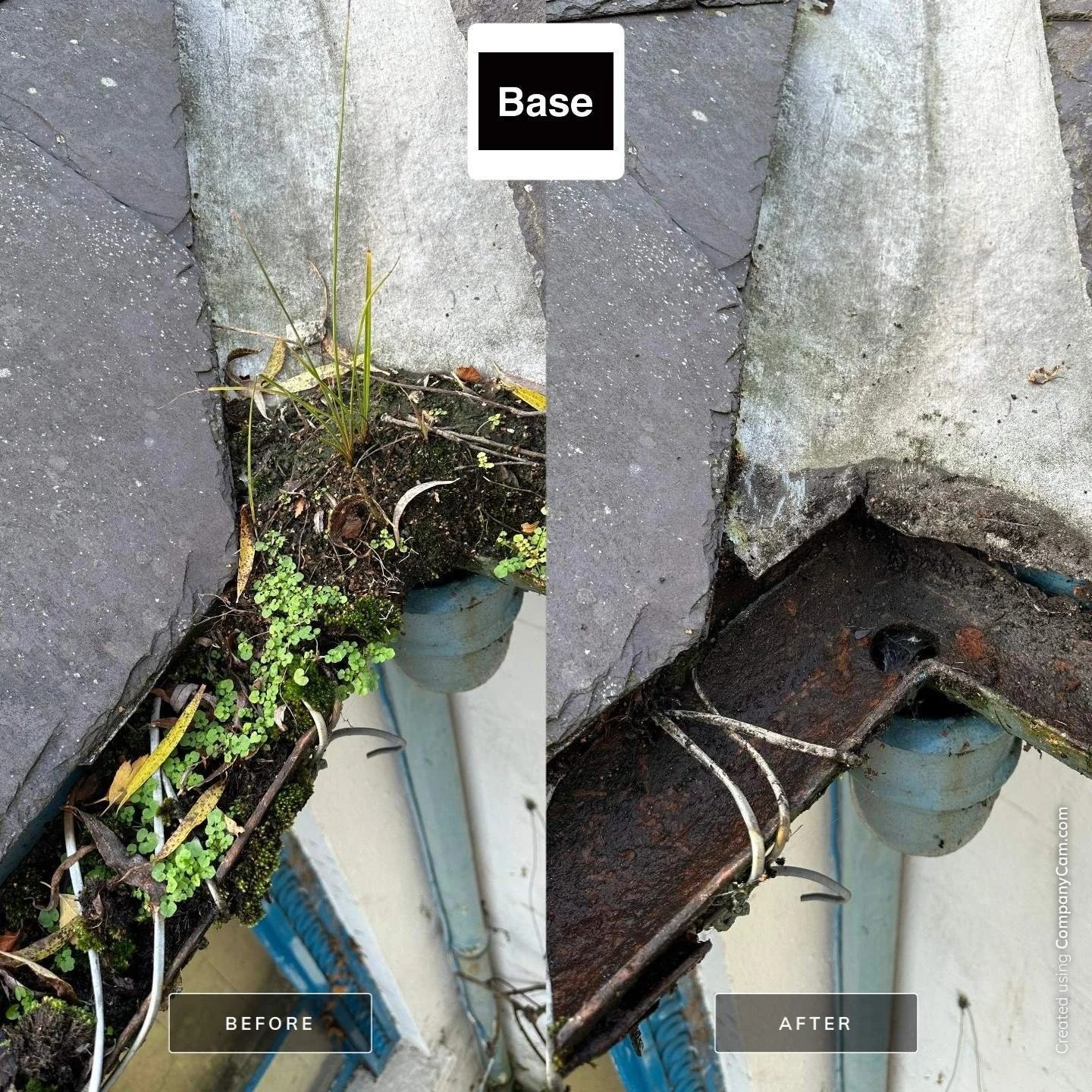 Before and after gutter cleaning on a Dublin property, showing heavy vegetation and debris removed from the gutter.