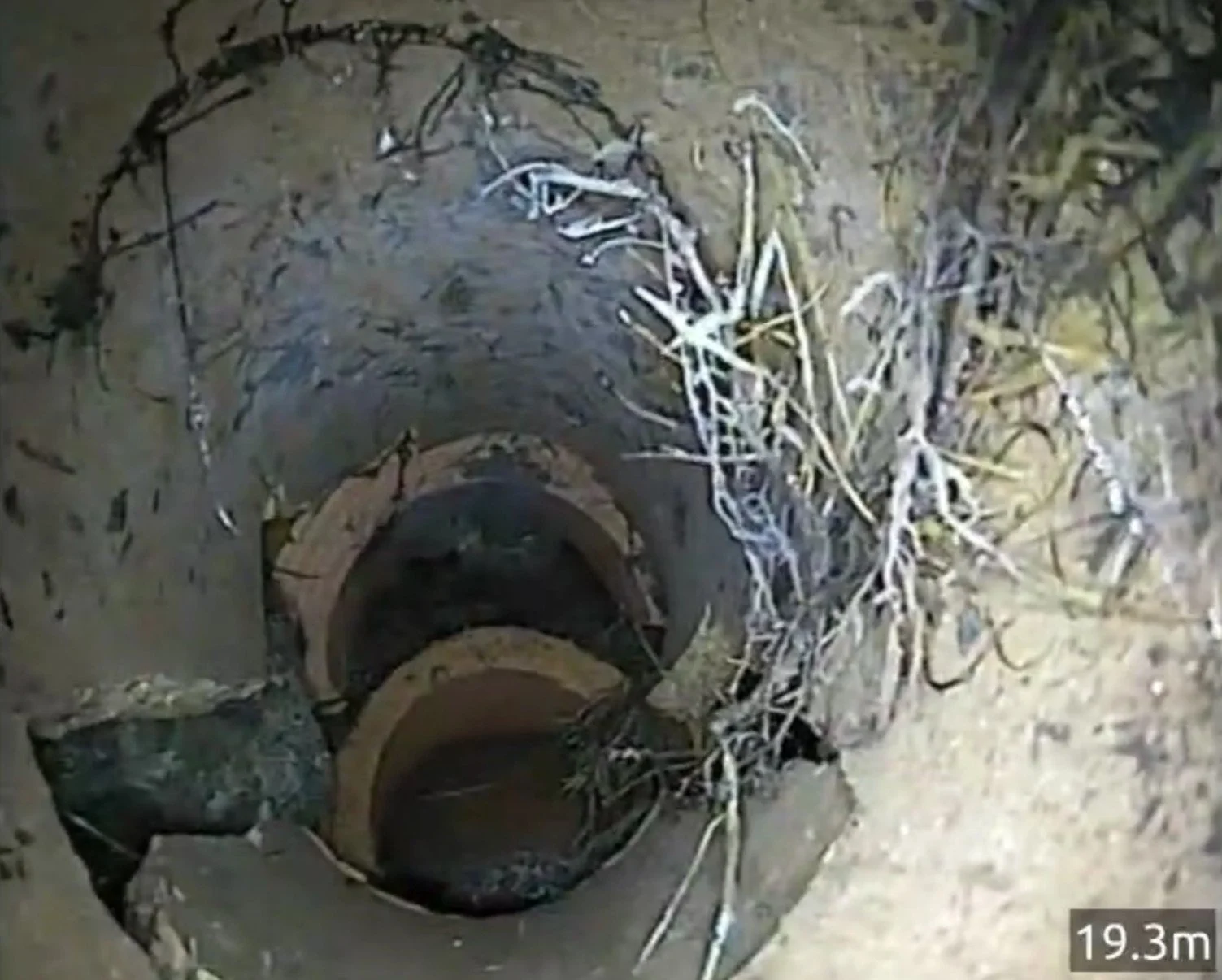 CCTV drain survey showing a pipe junction and root intrusion during a Base Entry Point investigation in Celbridge.