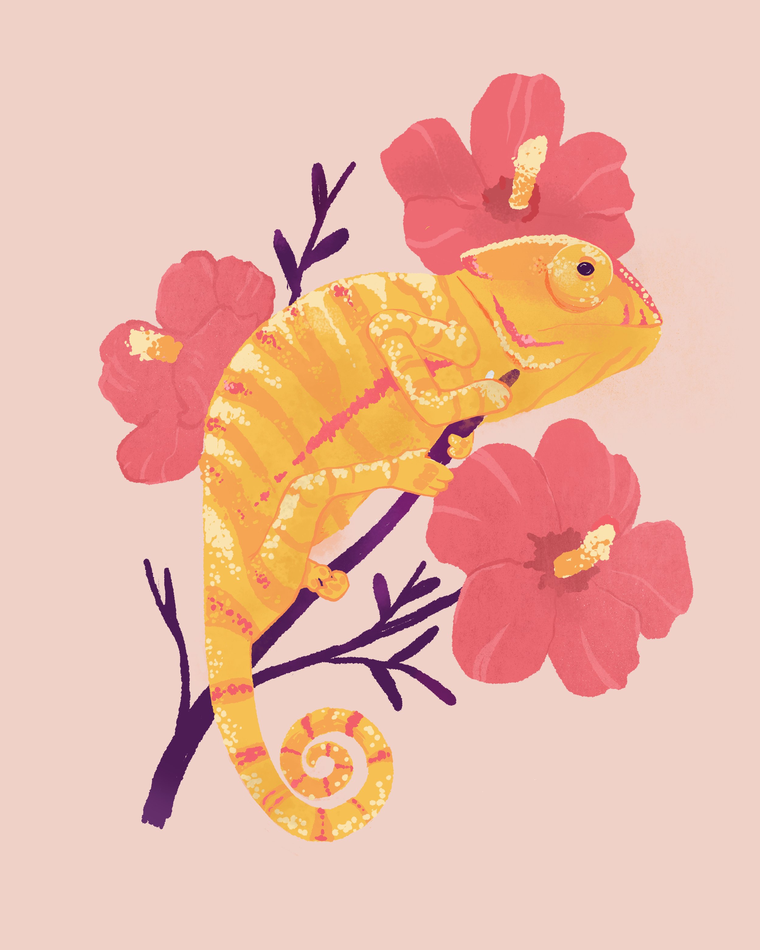 Summer Island Chameleon