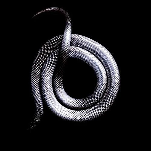 ASHLESHA CANCER 16'41 - 30'00 CANCER  - mercury