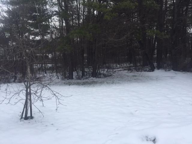 20190107151724644547000000-o.jpg