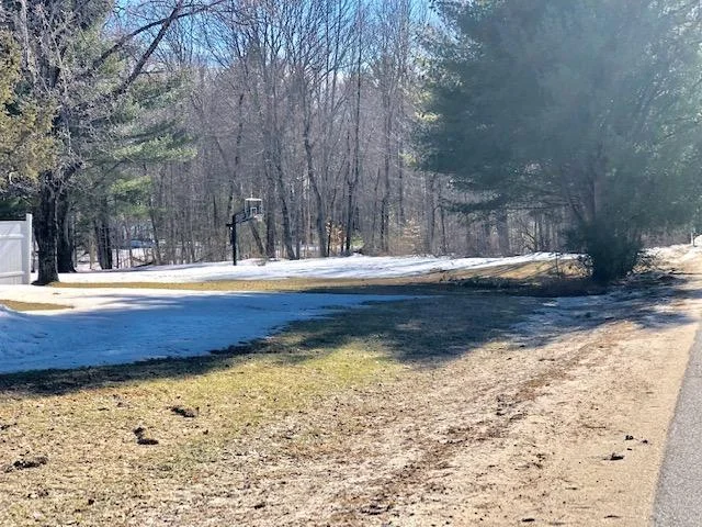 20190328135858769269000000-o.jpg