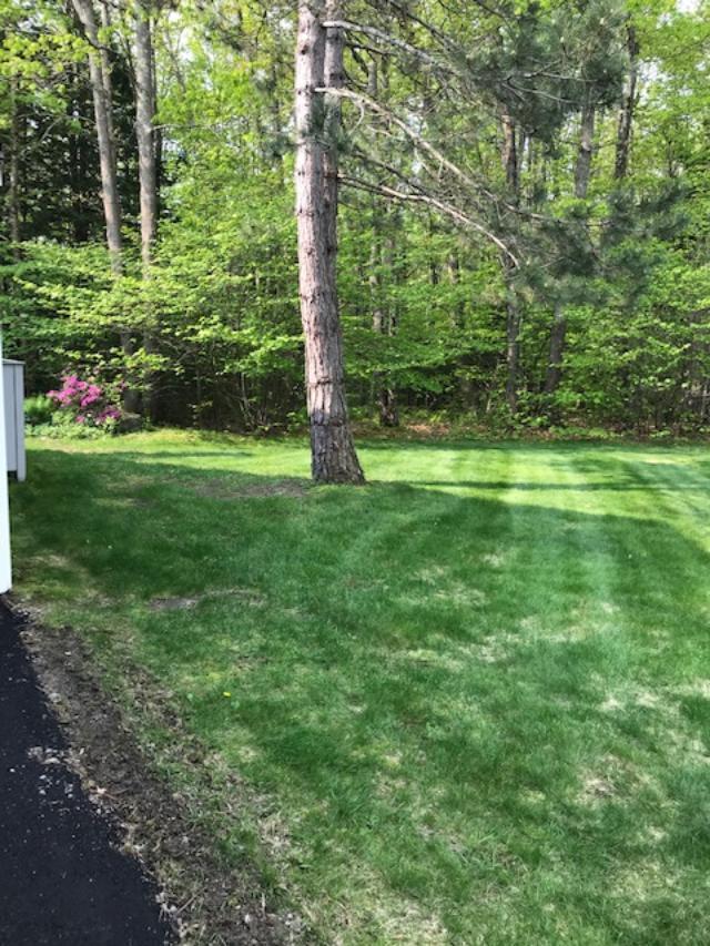 20190531150649373032000000-o.jpg