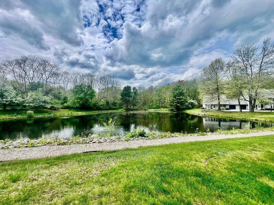 12-Pond-View.jpg
