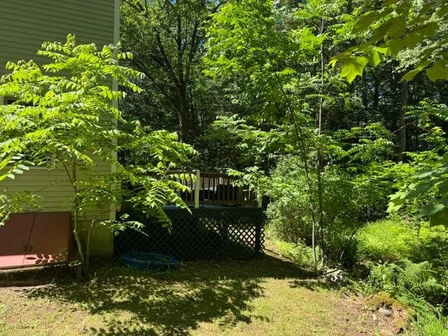 32-37-pleasant-valley-road-cumberland-me-wooded-lot.jpg