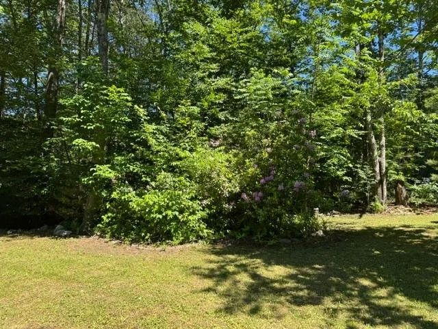 34-37-pleasant-valley-road-cumberland-me-backyard-lawn.jpg