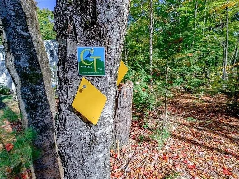 38-37-pleasant-valley-road-cumberland-me-wooded-acreage-2.jpg