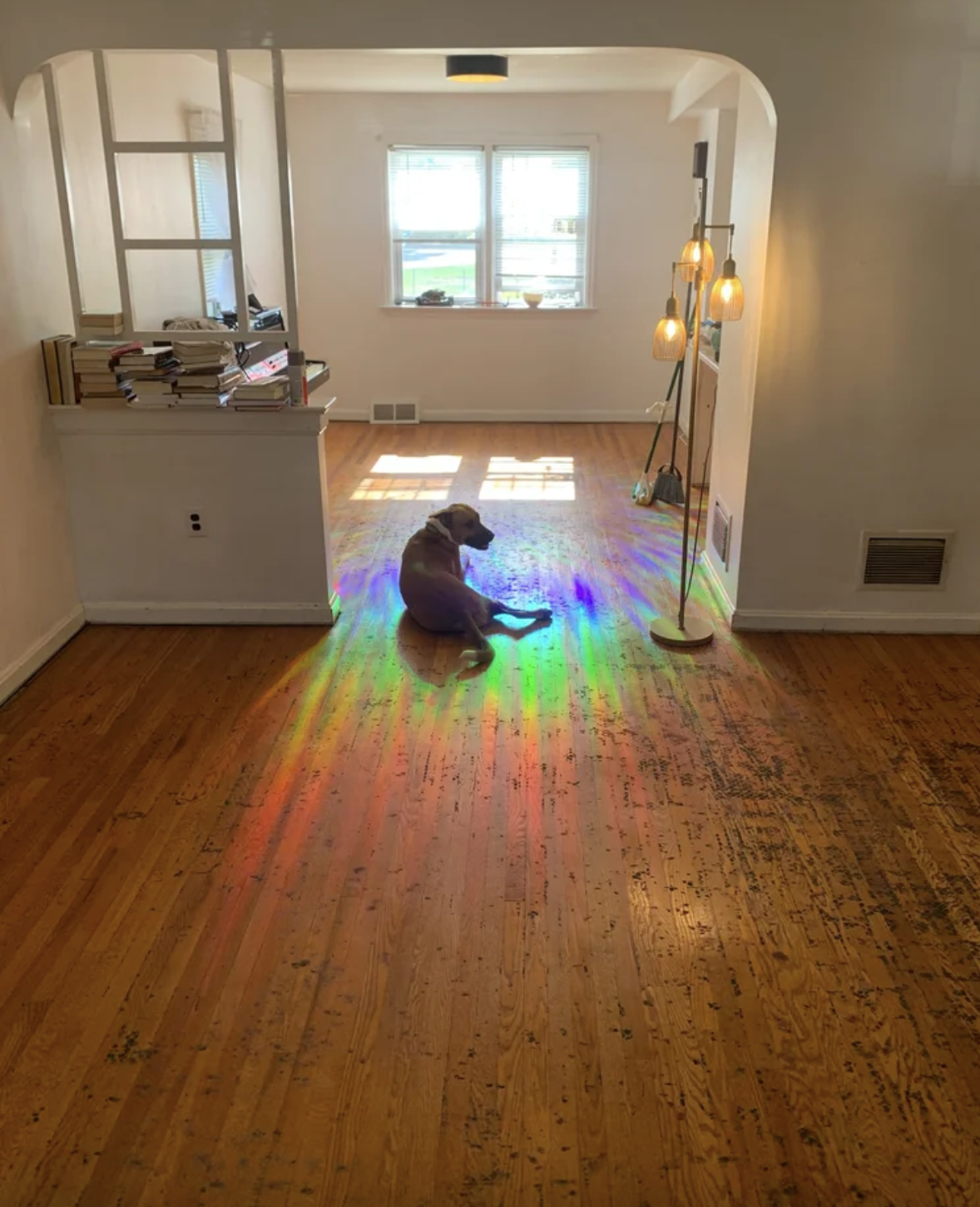 Tantric Home Renovations